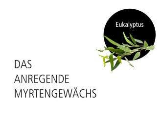 Duftbild Eukalyptus