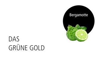 Duftbild Bergamotte