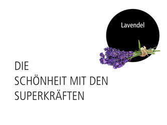 Duftbild Lavendel