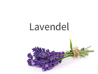 Duftbild Lavendel