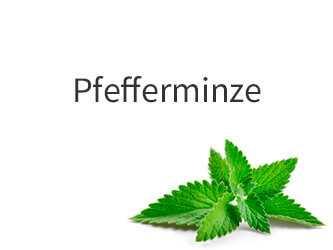 Duftbild Pfefferminze